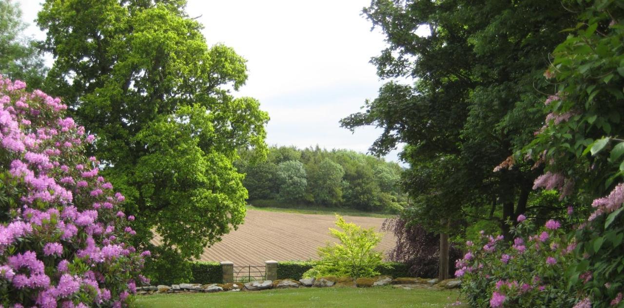 Ballydugan Country House Downpatrick Zewnętrze zdjęcie