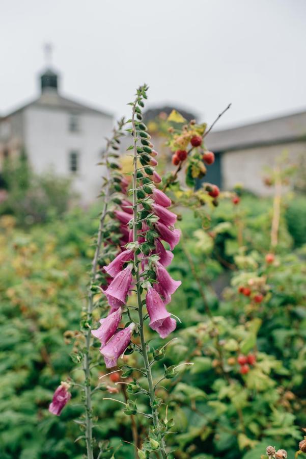 Ballydugan Country House Downpatrick Zewnętrze zdjęcie