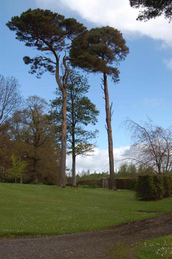 Ballydugan Country House Downpatrick Zewnętrze zdjęcie