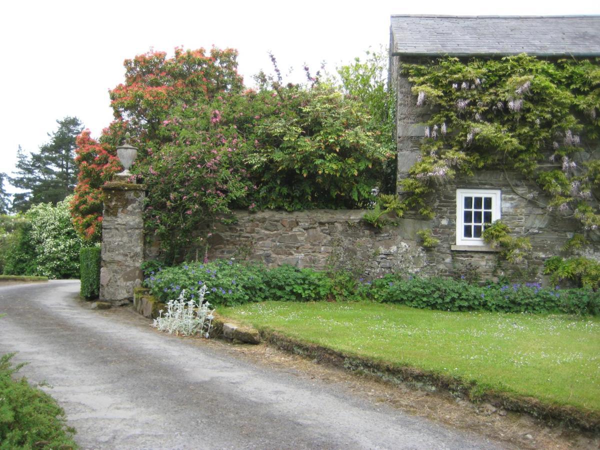 Ballydugan Country House Downpatrick Zewnętrze zdjęcie